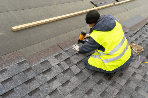 Roof Gutter Cleaning in North Tunica, MS