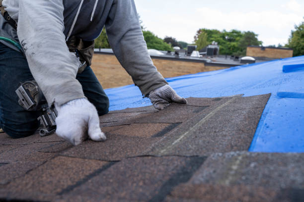 Best Roof Waterproofing Services  in North Tunica, MS